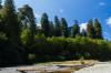 Redwood National Park
