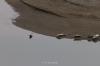 Highway No 1