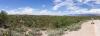 Saguaro National Park East