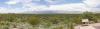 Saguaro National Park East