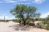 Saguaro National Park East