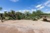 Saguaro National Park East