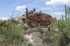 Saguaro National Park East