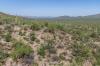 Tucson Mountain Park