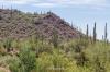 Saguaro National Park West