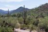 Saguaro National Park West