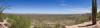 Saguaro National Park West