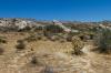 Anza Borrego Desert State Park