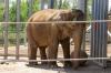 San Diego Zoo