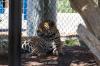 San Diego Zoo