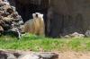 San Diego Zoo