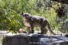 San Diego Zoo