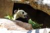 San Diego Zoo