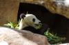 San Diego Zoo