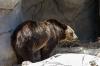 San Diego Zoo