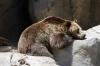 San Diego Zoo