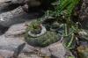 San Diego Zoo