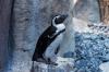 San Diego Zoo
