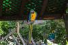San Diego Zoo