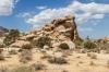 Joshua Tree National Park