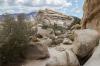 Joshua Tree National Park