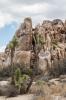Joshua Tree National Park