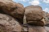 Joshua Tree National Park