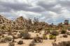 Joshua Tree National Park