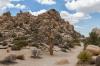 Joshua Tree National Park