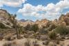 Joshua Tree National Park