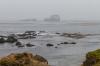 Elephant Seal Vista Point