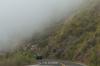 Auf dem Highway 1