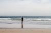 Waddell Beach