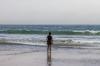 Waddell Beach