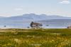 Mono Lake