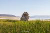 Mono Lake