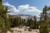 Yosemite National Park