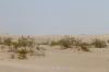 Death Valley National Park