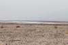 Death Valley National Park