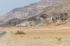 Death Valley National Park