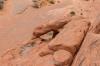Valley of Fire
