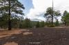 Sunset Crater National Monument