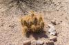 Lost Dutchman State Park