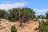 Canyonlands National Park