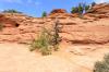 Canyonlands National Park
