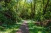 Redwood National Park