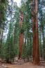 Sequoia National Park