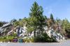 Kings Canyon National Park