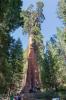 Kings Canyon National Park