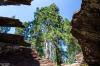Kings Canyon National Park